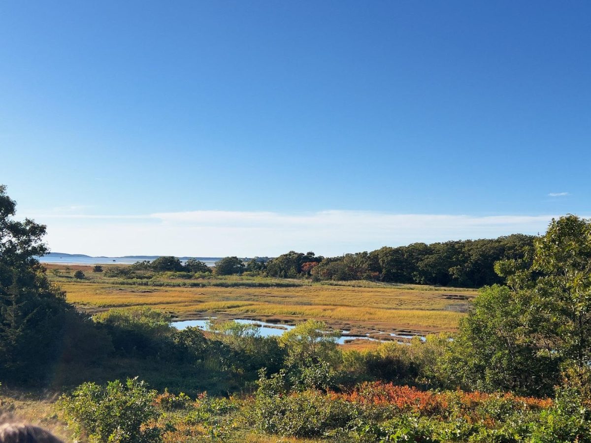 Wellfleet Bay Wildlife Sanctuary, with a total of 1,183 acres and five miles of trails, is a great example of what conservation can do for the Massachusetts environment.